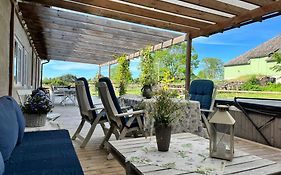 Ölands Yoga Studio&Islandshästar, Stugor&Rum